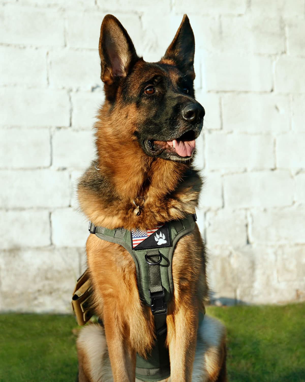 Petnanny - Arnés táctico para perros grandes, cobertura completa del cuerpo en entrenamiento con 2 parches reflectantes para perros, asa, paneles de gancho y bucle, chaleco Molle para perros