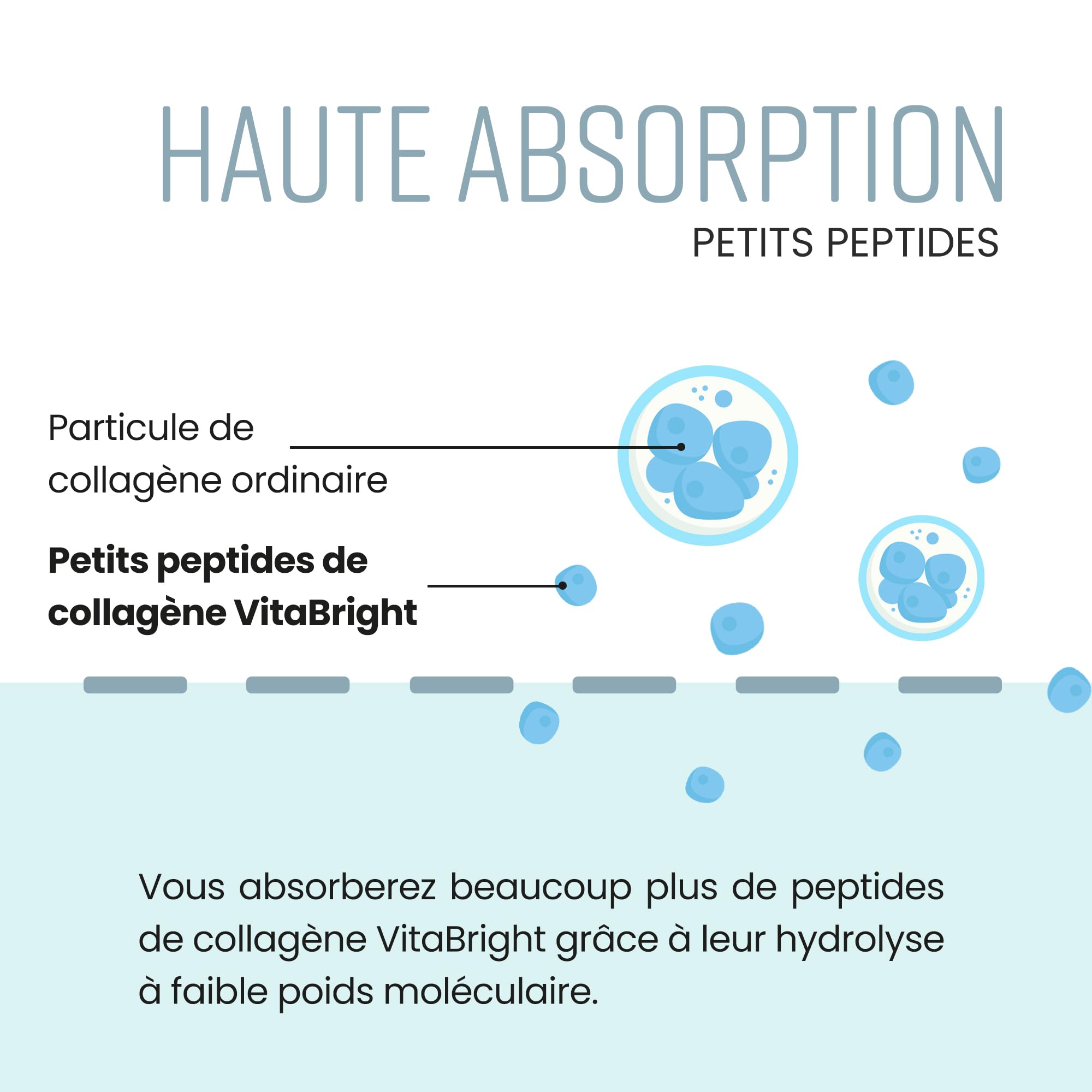 Peptide De Collagene Poudre 500g Collagène Hydrolysé Bovin | Facile à Dissoudre | Collagen Peptides Type 1 et 3 | Collagene Peptide Haute Biodisponibilité | VitaBright Colagene