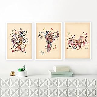 Stampa Artistica Da Parete Floreale Donna Anatomia Ostetrica Ginecologo Educazione Medica Poster Pittura Su Tela Per Clinica Studio Medico Decor 60x80cmx3 Frameless