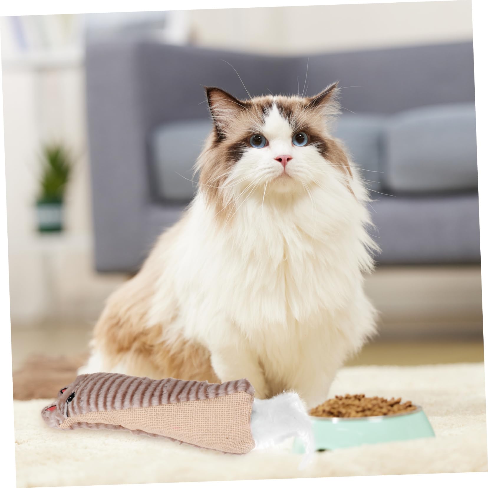 BESPORTBLE Jouet Herbe Chat avec Papier Froissé Jouet Interactif Peluche Mâcher pour Chat Intérieur