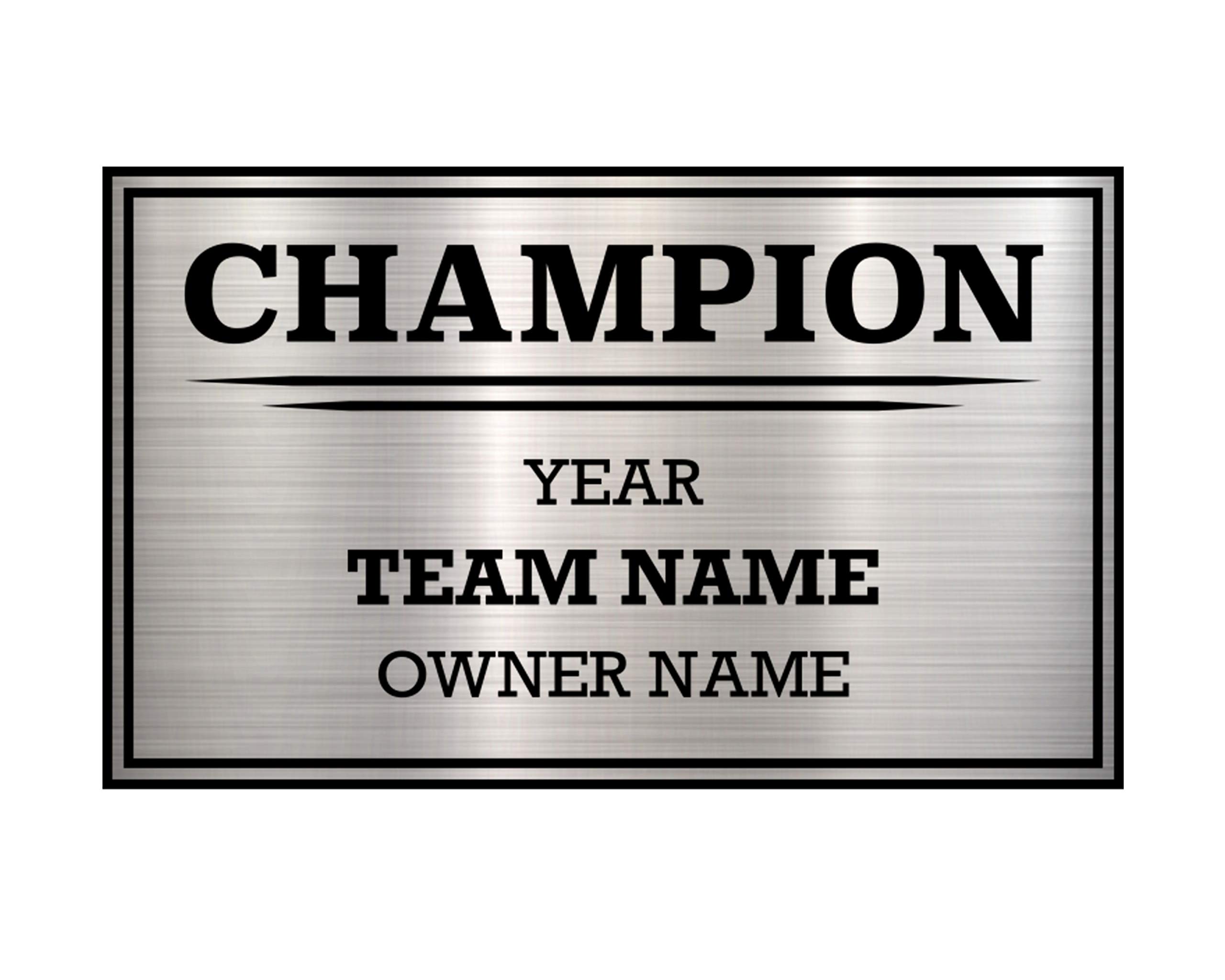 TrophySmack 3 Column Single Winner League Plate - Customizable Engraved League Plate - Fantasy Football Trophy Champion Award Plate (Silver or Black)