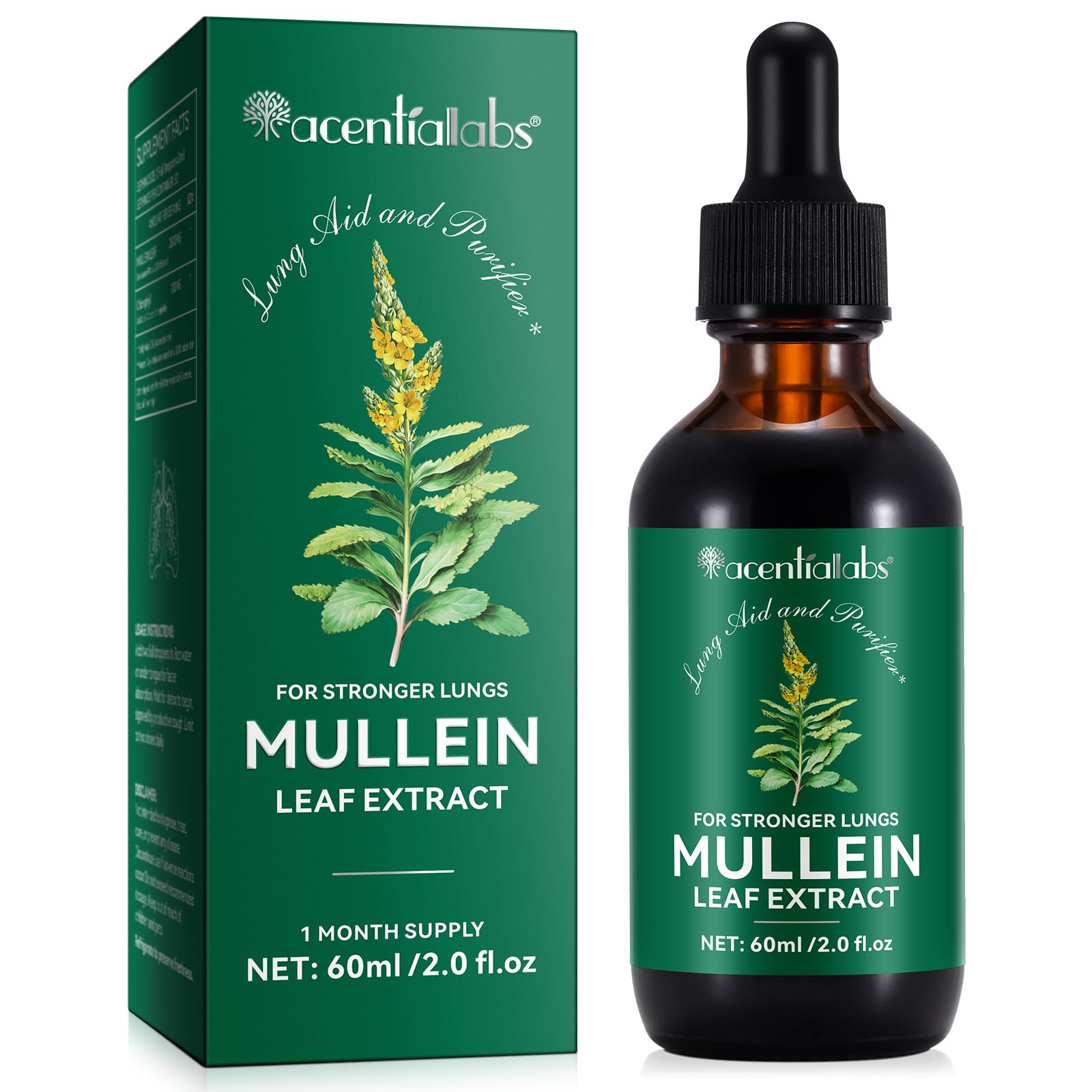 Mullein Drops for Lungs, Natural Mullein Leaf Extract, Mullein and Chlorophyll Drops for Lungs, Breathing Support Supplement (2 Fl Oz/1Pack)