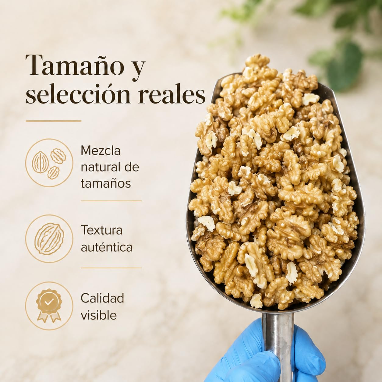Samskara Nuez Pelada AL VACIO Gran Calibre a Mano Premium 600 g | Nueces Naturales Extra Light, Fruto Seco en Cuartos, Snack Gourmet 100% Natural sin sal