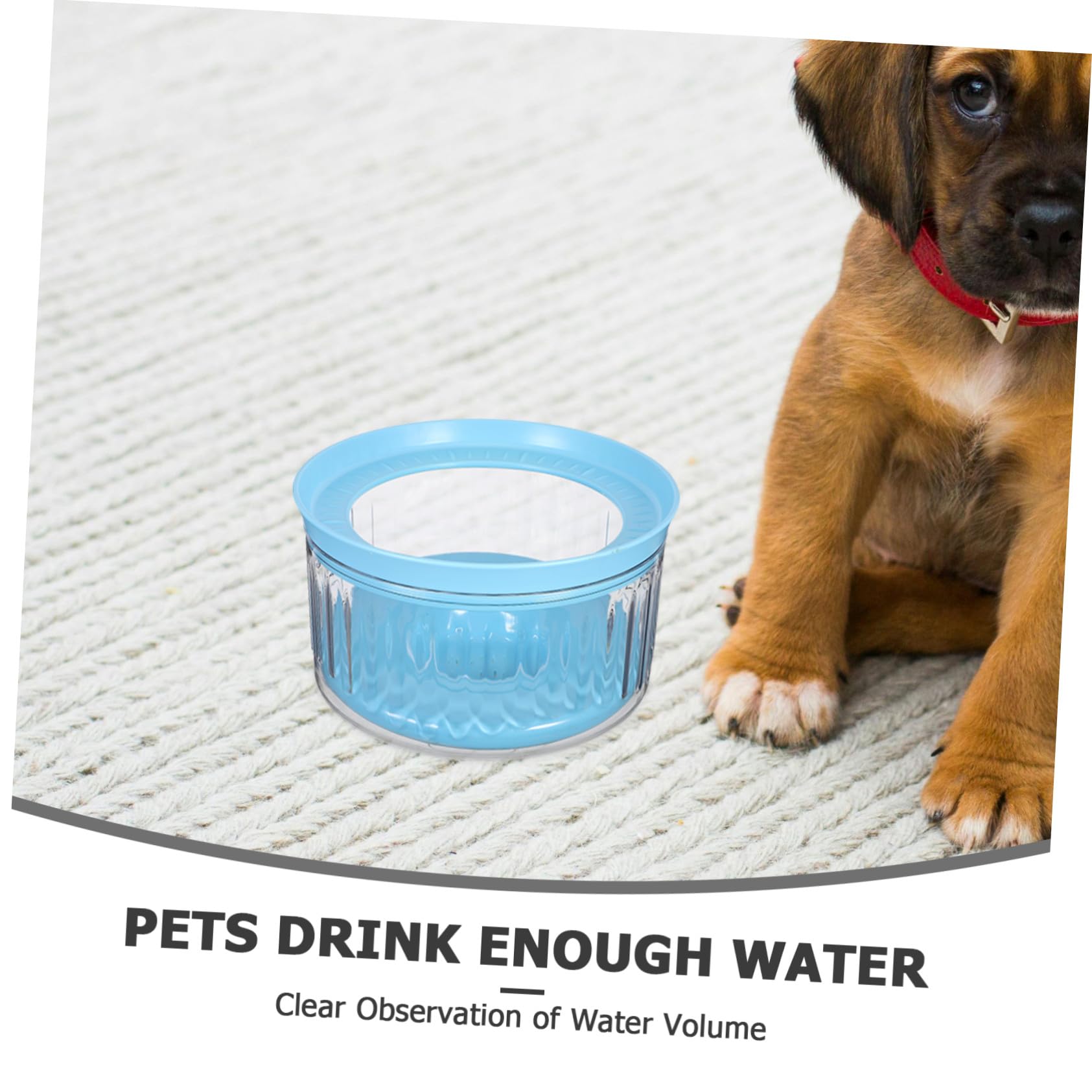 Wassernapf für Hunde Spritzsicherer Trinknapf mit Transparentem Design Auslaufsicherer Napf für Unterwegs Rutschfester Hundenapf mit Schwimmscheibe für Haustiere