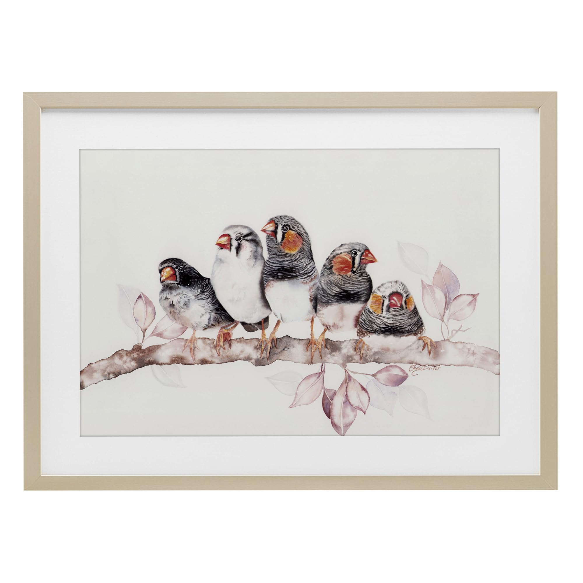 Stupell Industries Five Birds on Branch Birch Framed Print Under Glass, design by Cady Driver, 14 x 20
