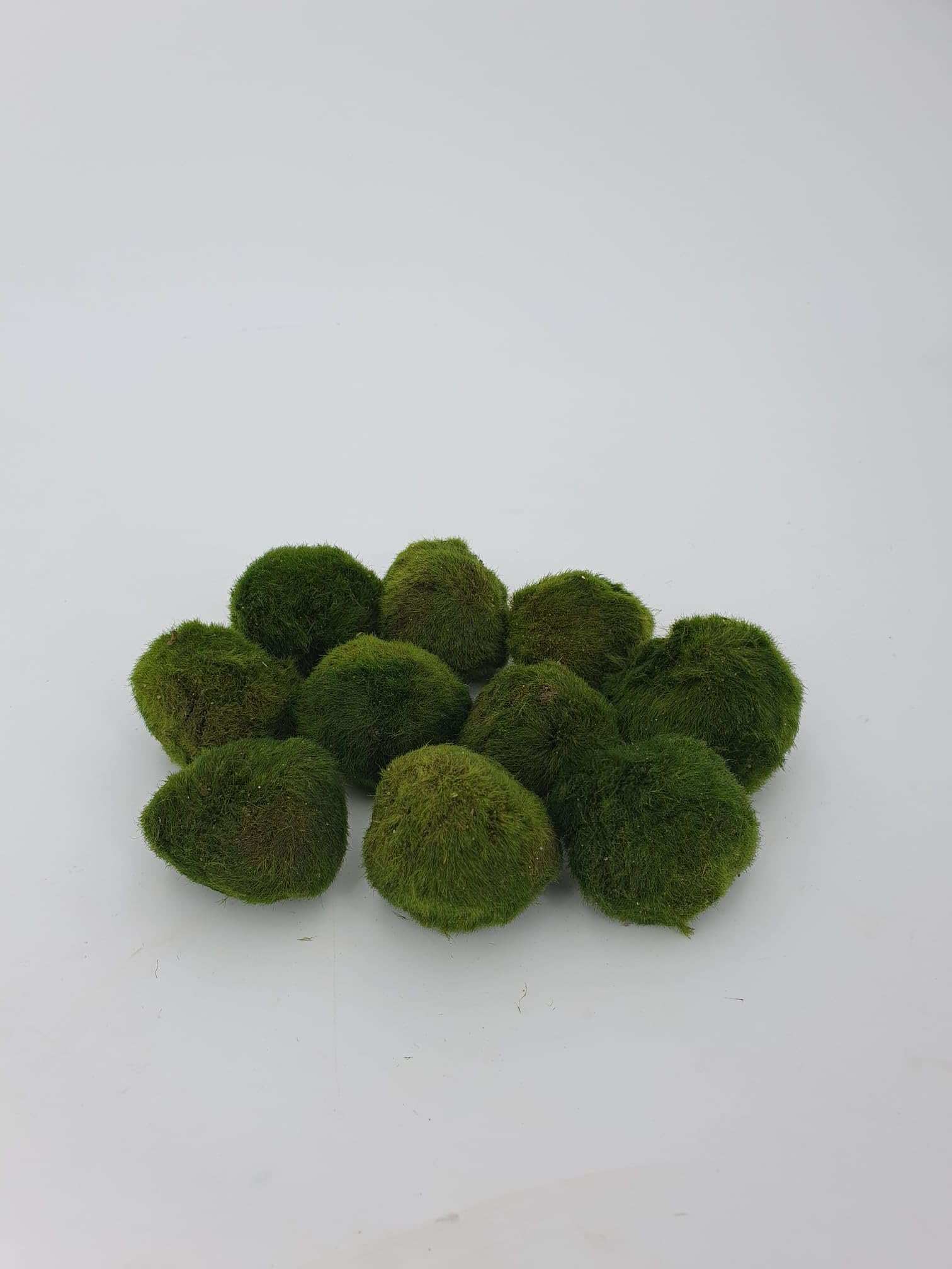 Arts 10 kul mchu Marimo 2,5 cm kule mchu