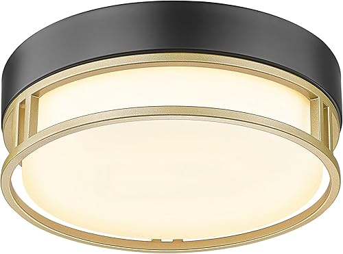 zeyu ZS76F BK+AG - Lámpara de techo empotrada de 1 luz, moderna de 10 pulgadas, para dormitorio, pasillo, pasillo, pantalla de vidrio esmerilado disponible en Yaxa Venezuela