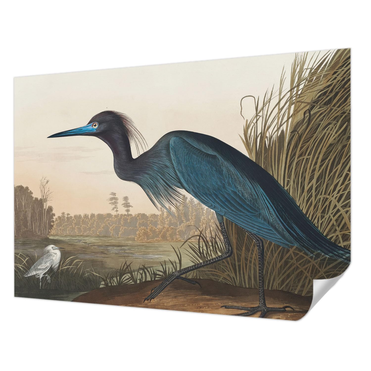 Papier peint adhésif oiseaux aquatiques Tulup 208x146 cm panoramique pour décoration salon