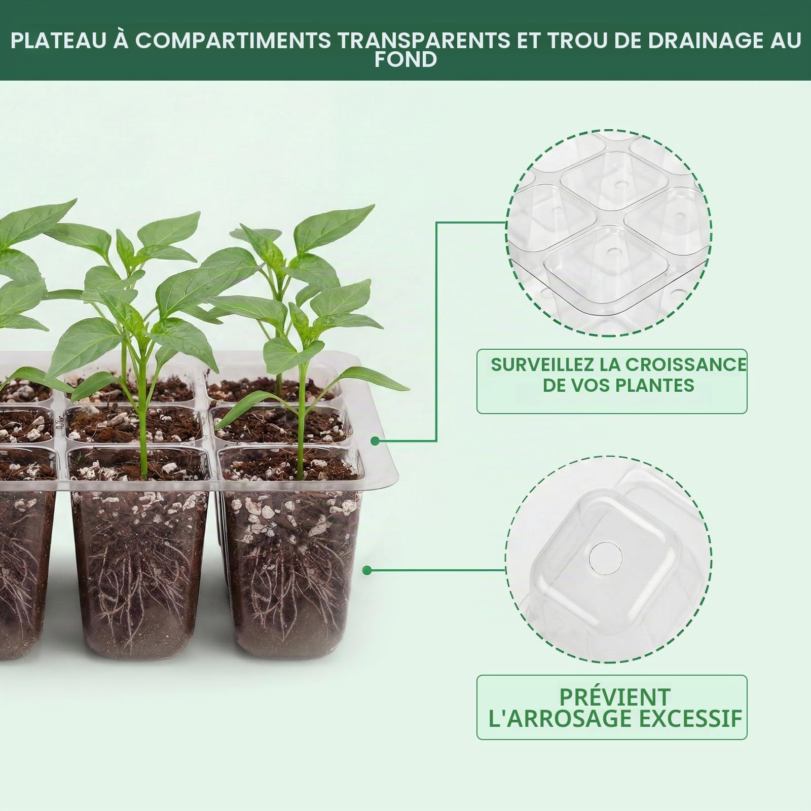 Verdenu Mini Serre pour Plantes, 10 Pièces 120 Cellules Plaque Semis, Serre Interieur avec couvercles rehaussés, Bac à semis Pépinière Boîte de Culture Durables, Hauteur du dôme d'humidité 8,4 cm