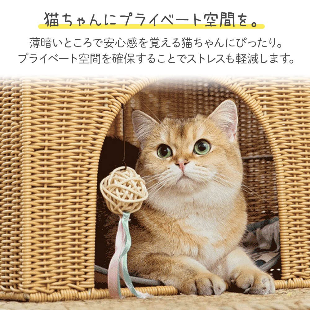 Amazon | life_mart 【 丸洗い OK！ 】 キャットハウス ドーム型猫  