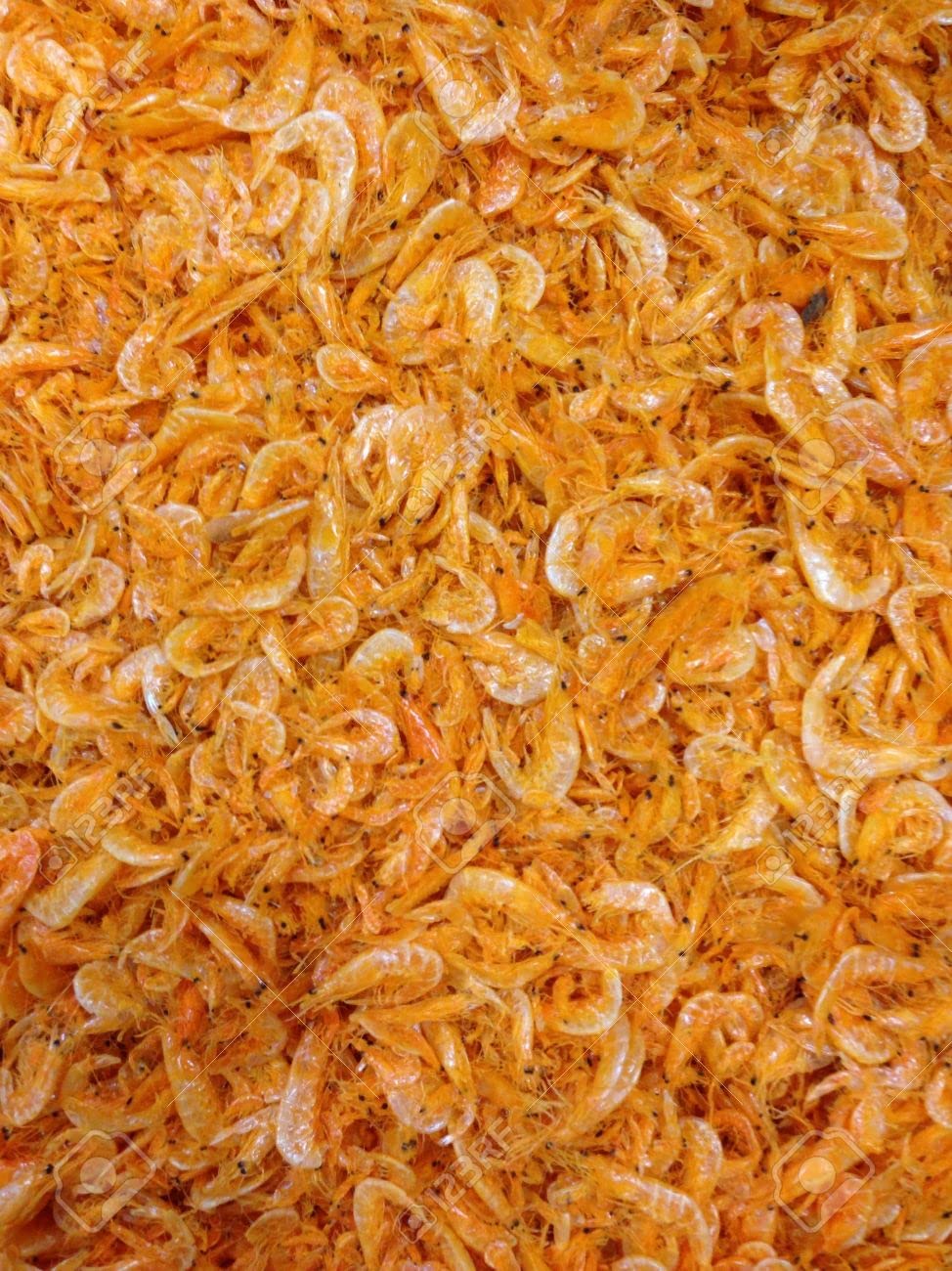See full amazon price history chart for Very Small Size Dry Shrimp 400 grams (Sun-Dried, Non- Salted) Very Small Size Dry Shrimp 400 grams (Sun-Dried, Non- Salted) (B09L8KPSQS) Amazon Price History, Amazon Price Tracker