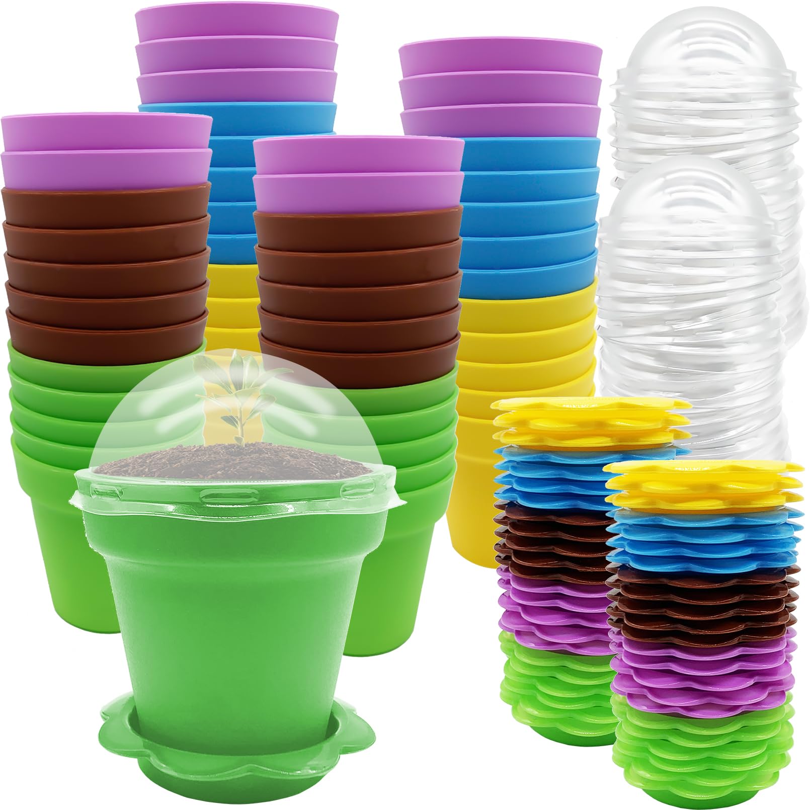 PURPLE STAR 1N 50 Packs Cupcake Nursery Pots