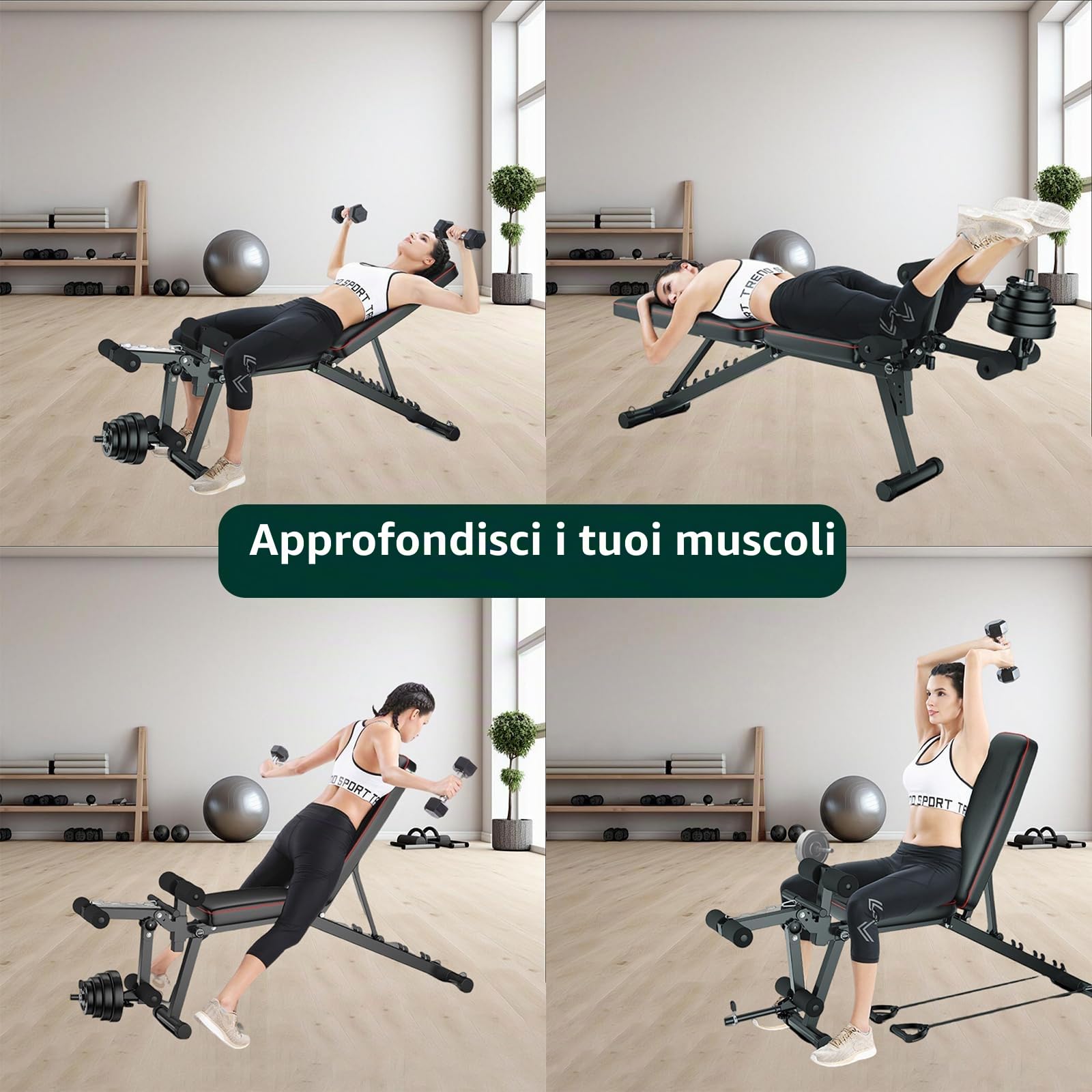 Panca Addominali Panca Posturale Panca Fitness con Imbottitura in Schiuma ad Alta densità, Attrezzatura compatta per Palestra Domestica per distensioni con manubri/Curl/Sollevamento Gambe