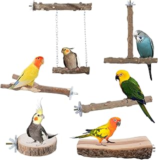 6 Pieces of Natural Wood Bird Stand Budgie Toys Bird Perches Cage Accessories Small Parakeets Wooden Parakeets Toys for Co...