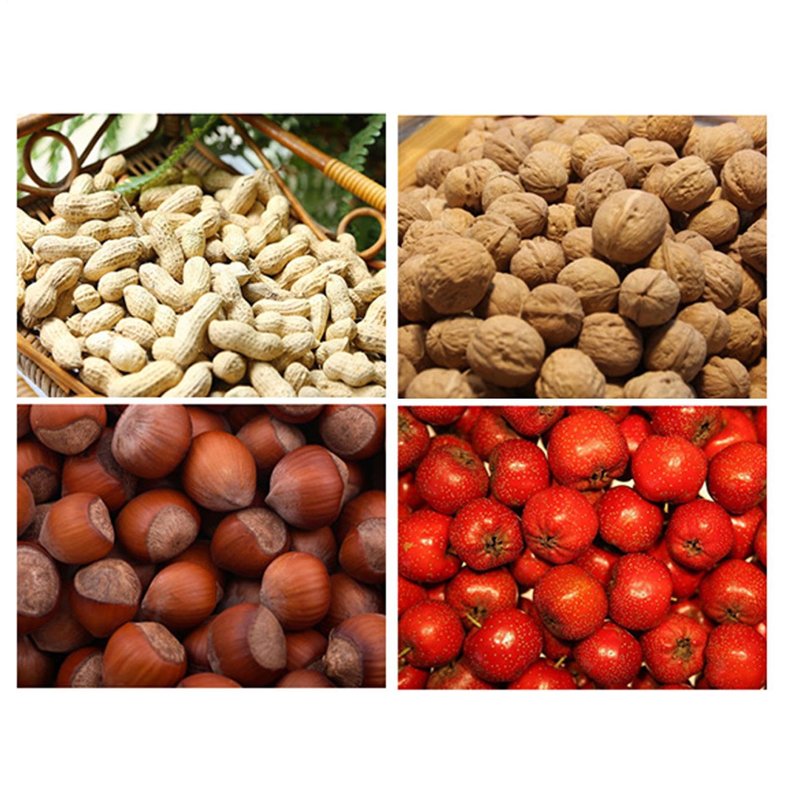 Raccoglitore di Noci, 150 x 24 x 20 cm Raccoglitore di Noci con Asta | telescopico, Rotolo Raccoglie Frutta in Acciaio, Rotolo Raccoglie Nocciola, Attrezzi da Giardinaggio per Fattoria Famiglia
