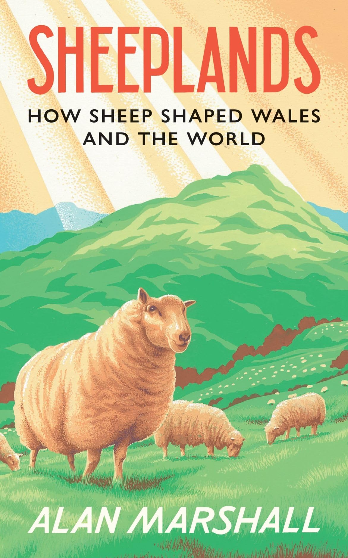 Sheeplands: How Sheep Shaped Wales and the World,Marshall, Alan