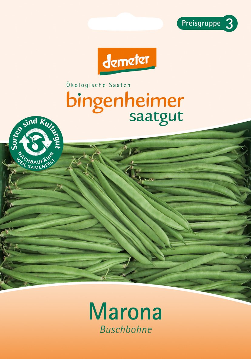 Bingenheimer Saatgut Buschbohne Marona – Gemüsesamen