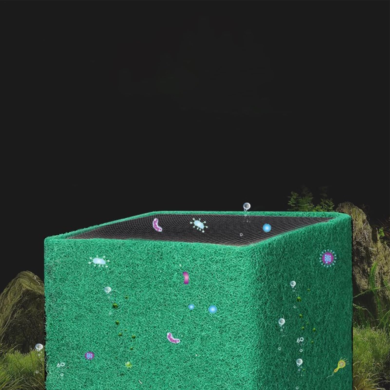 View 9
