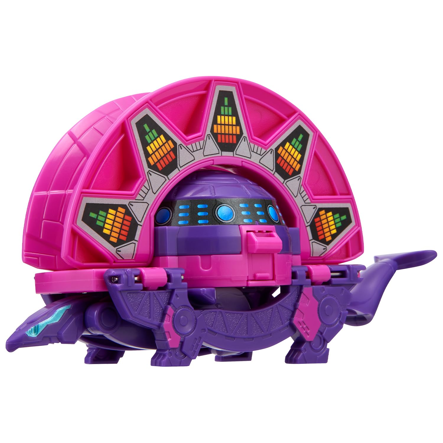 【超超超希少‼️】現地球✨ユーフォルビア クネアータ 超超超希少‼️】現地球✨ユーフォルビア クネアータ