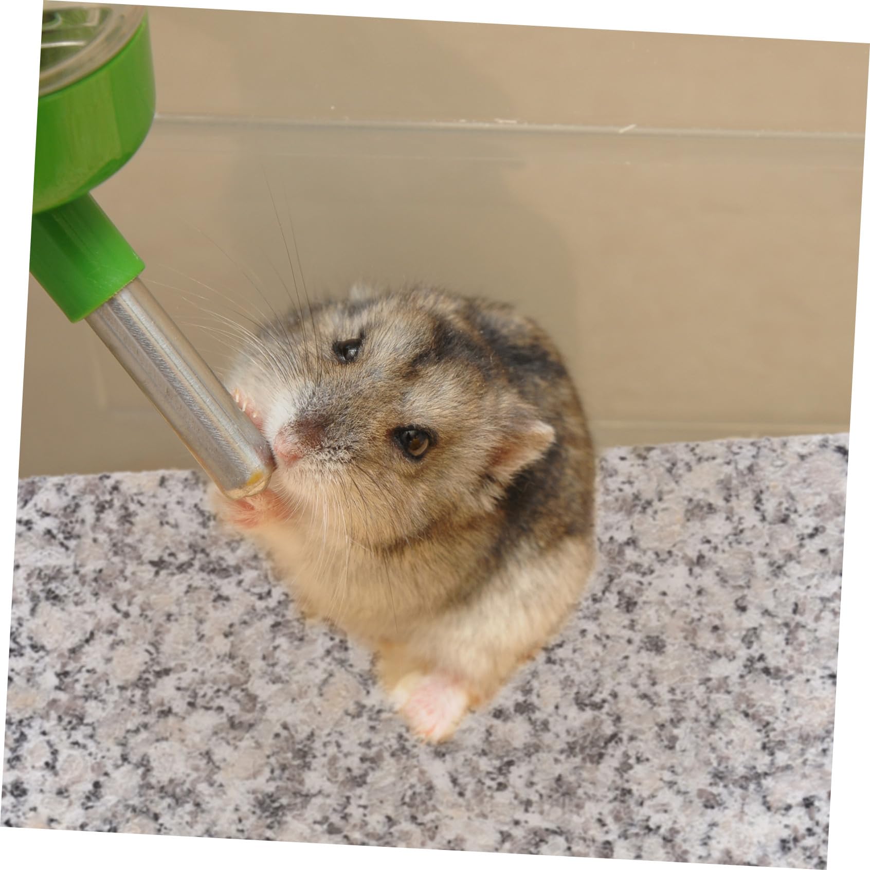 Toyvian Plaque de Refroidissement pour Hamster et Chinchillas, Taille Moyenne, Motif Marbre Aléatoire, Accessoire Portable pour Petits Animaux en Été