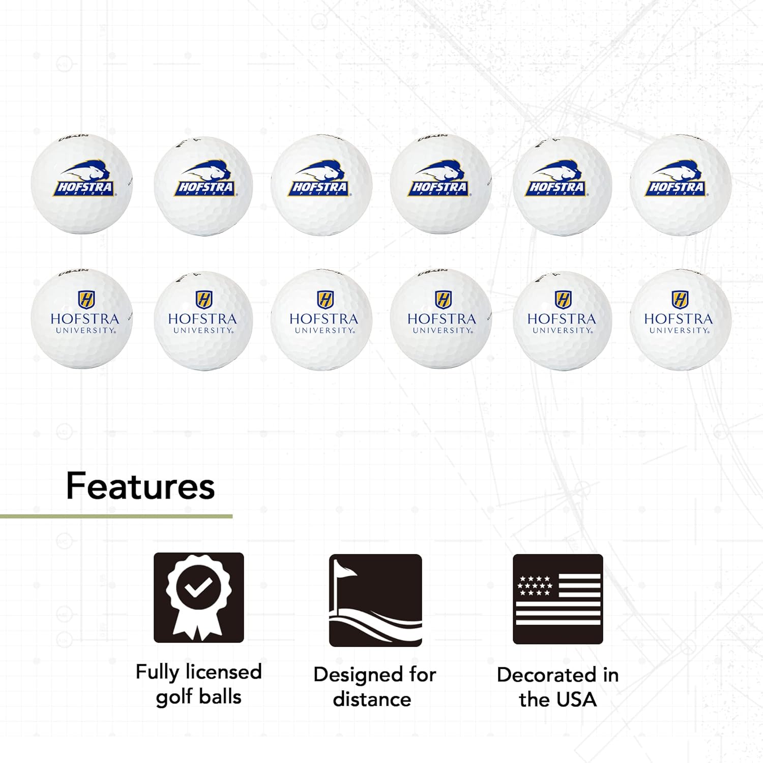 Desert Cactus Hofstra University Golf Balls 12 Pack – HU Pride Full Color Dozen – Officially Licensed Sport Team Accessory