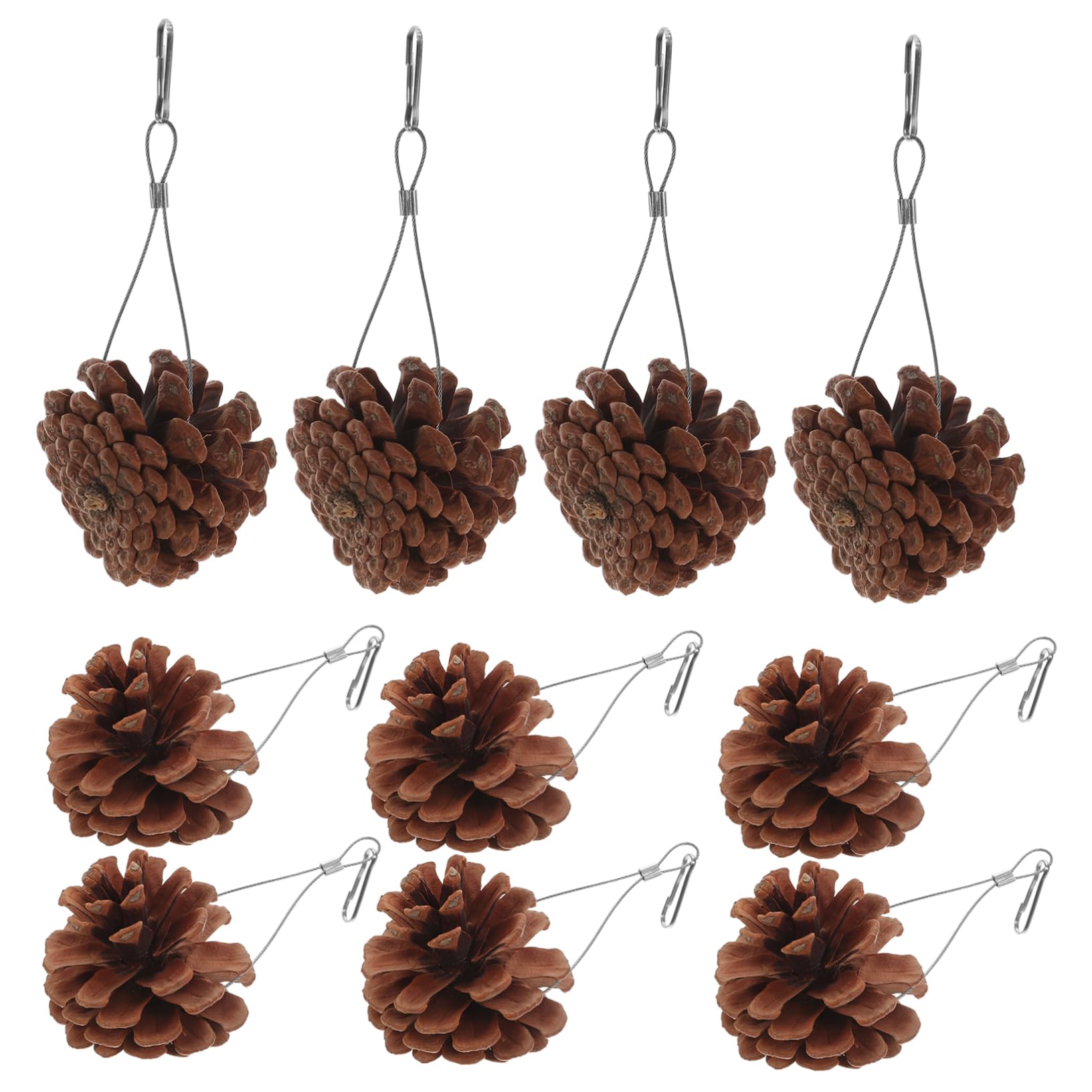 BESPORTBLE 20pièces Jouets à Mordre pour Oiseaux Pigne Naturel Accessoires De Jeu Suspendus pour Perruches Et Perroquets pour Forage Divertissement