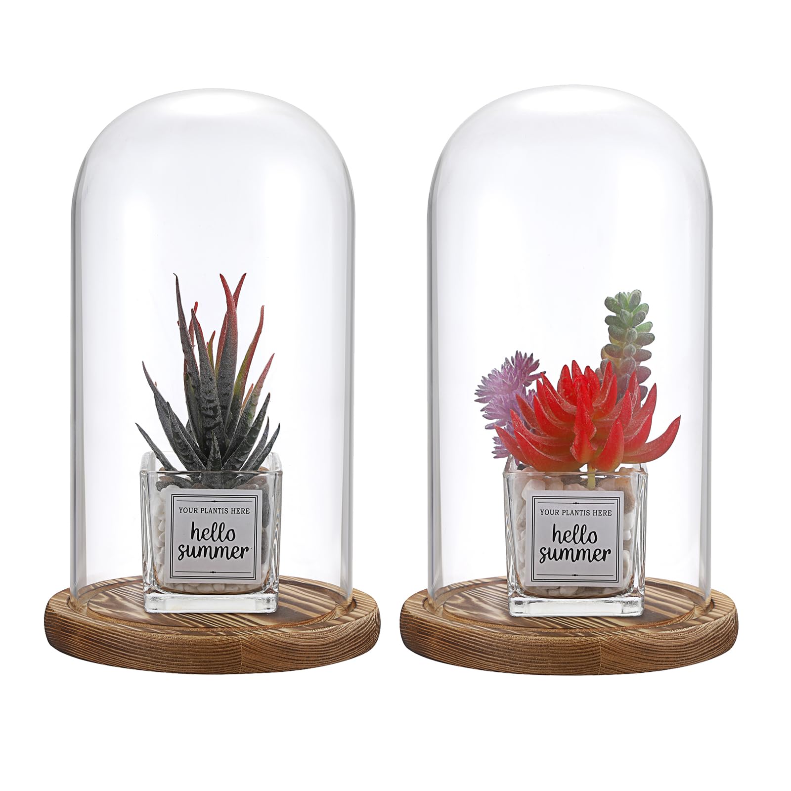 Lot de 2 dômes en verre socle bois naturel - Cloche décorative robuste - Pour lampes, bougies, roses, décorations Noël, anniversaires, Saint-Valentin