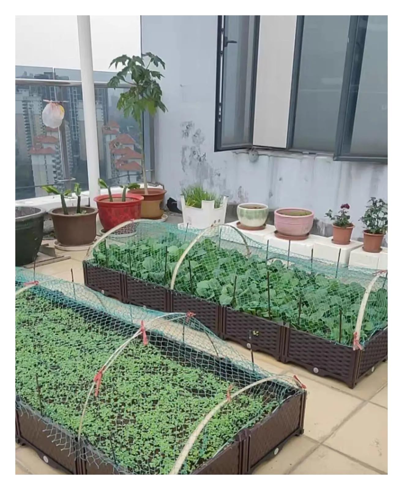 Rete da giardino, rete antiuccelli, Rete for recinzione da giardino multicolore, diverse misure(Black,10m)