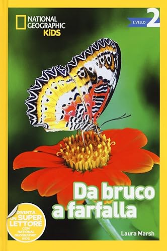 Da bruco a farfalla. Livello 2. Ediz. a colori