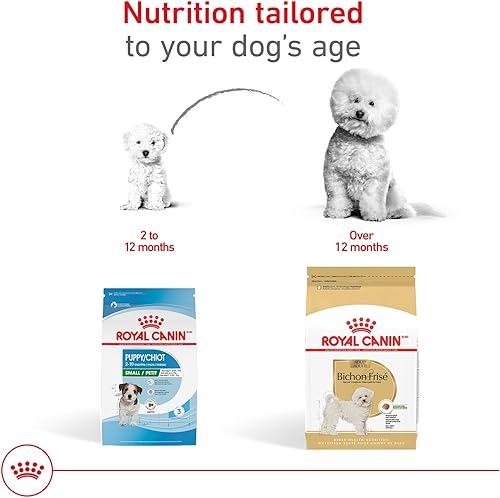 Miniatura 6 de Royal Canin Bichon Frise - Alimento seco para perros adultos, bolsa de 3 libras