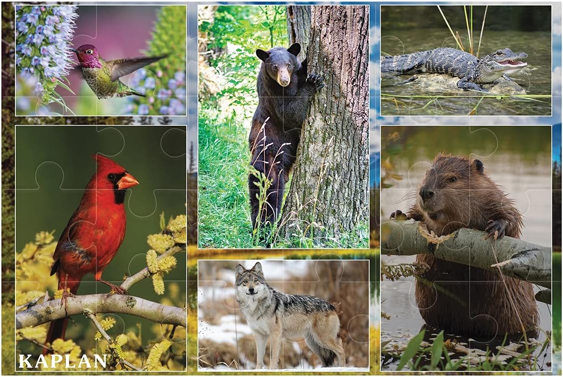 Kaplan Early Learning Wild and North American Animals Floor Puzzles - Set of Two 24" L x 36" W Floor Puzzles