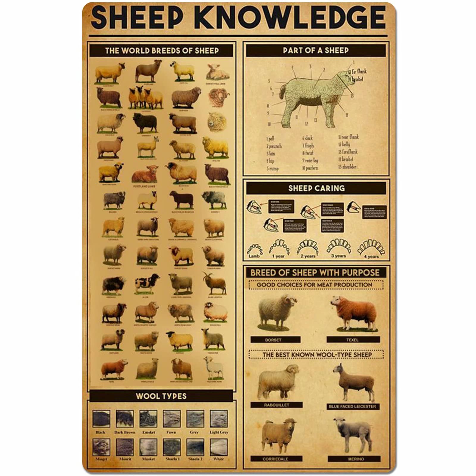 Iubbki Sheep Knowledge Metal Tin Sign The World Breeds Of Sheep Dart Of A Sheep Unplaning Poster Retro Farm Home Kitchen Restaurant Club Home Wall Decoration 12X16 Inches