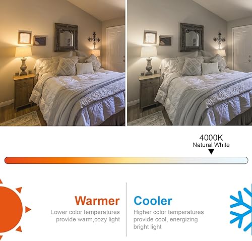 Miniatura 5 de Bombillas Edison regulables, 4.5 W equivalentes a bombillas vintage de 40 W, base E26 4000K ST58ST19, bombillas LED de filamento espiral flexible