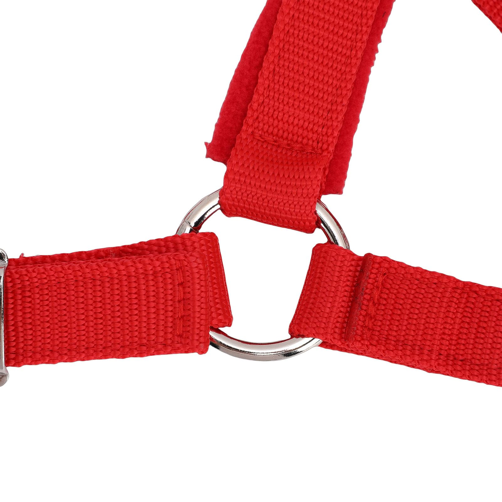 Cavezze per cavallo regolabili in nylon morbido e resistente, rosse, capezzale da equitazione con cinturino in nylon PP largo 25 mm con fibbia in metallo per cavallo medio, per