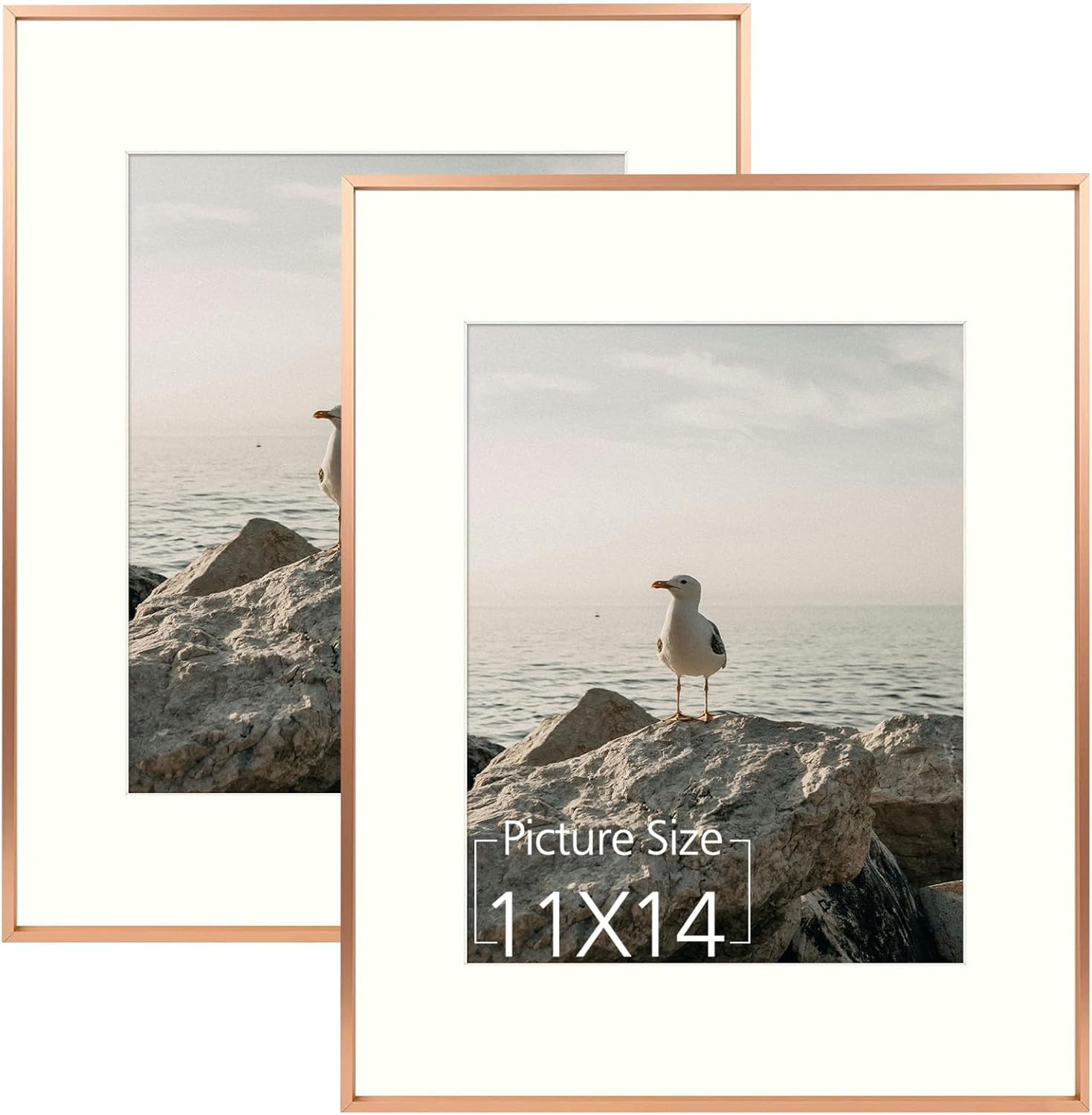 Mat Board Center, 8x10 Aluminum Picture Frame - Display 5x7 with Mat and 8x10 Without Mat - Horizontal and Vertical for Tabletop Wall Mounting Metal Photo Frame (Rose Gold, 2-Pack)