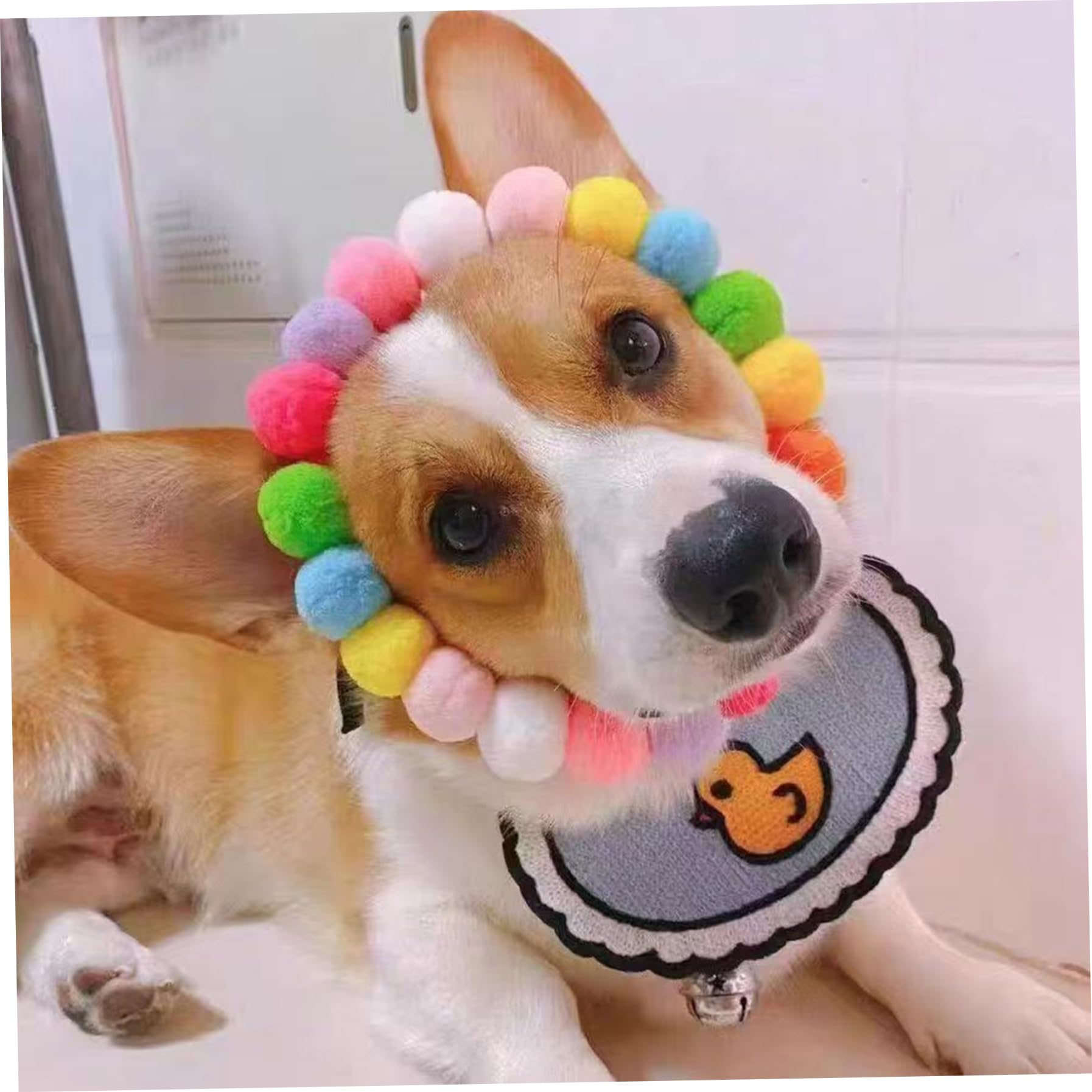 50 Stück Perlen-Hundehalsband, verstellbares elastisches Katzenhalsband mit weichem Bommel für kleine Hunde und Welpen, modische Haustier-Halskette für Fotos und tägliches Tragen, Hunde-Perlenhalsk