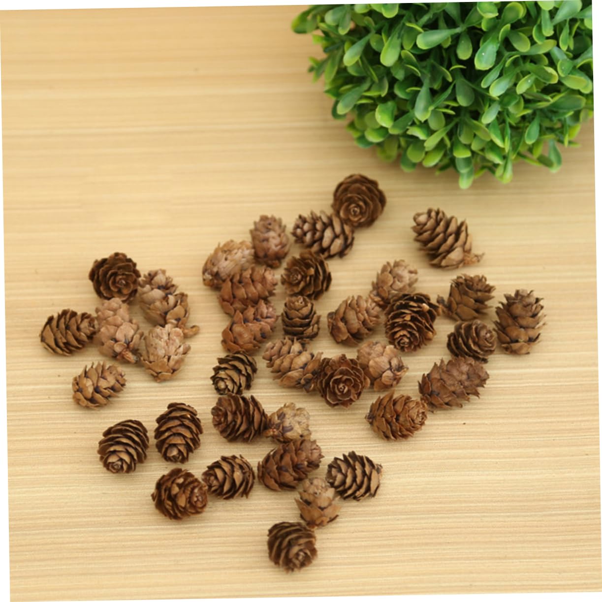 Ciieeo 210 Piezas Piñas Naturales Decoraciones de Piñas Secas Hogar para Acción de Gracias y Navidad Adorno Vegetal