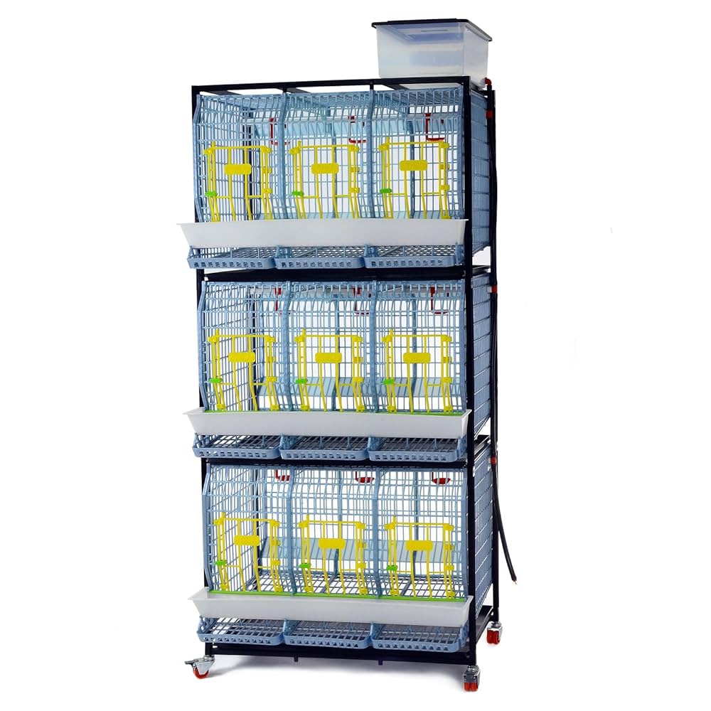 【おまとめ】【Bedtime】【Feeding the chickens】他２点 おまとめ】【Bedtime】【Feeding the chickens】他2点 Amazon