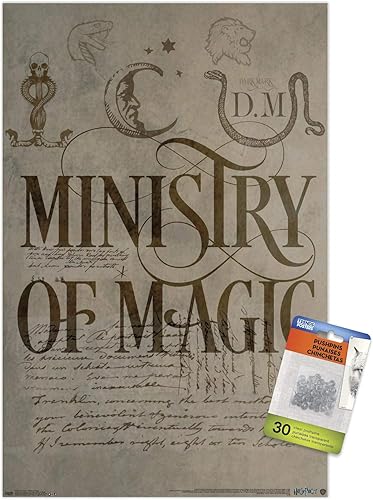 The Wizarding World Harry Potter - Póster de pared con pasadores de presión disponible en Yaxa Mexico