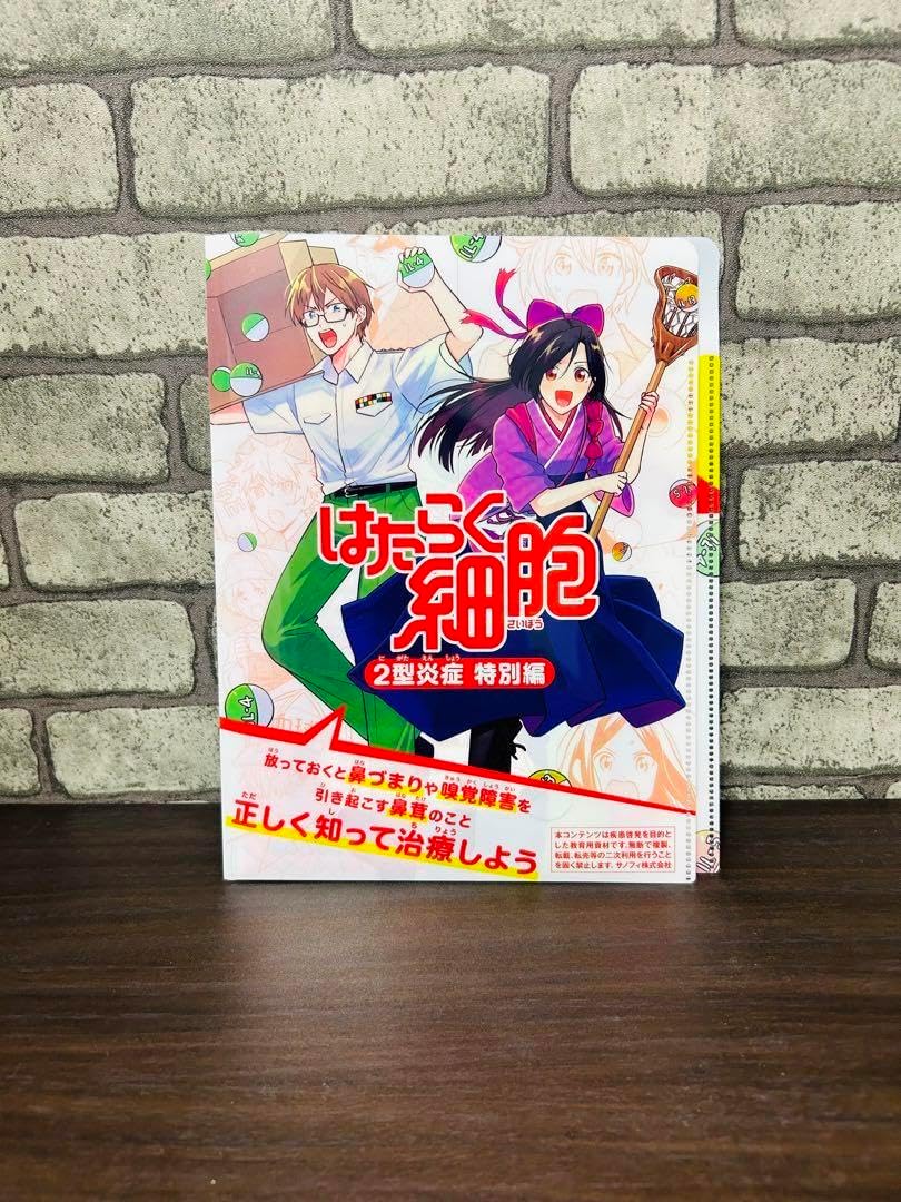 奥村 土牛、富士宮の富士、希少な画集より、新品高級額装付、版上