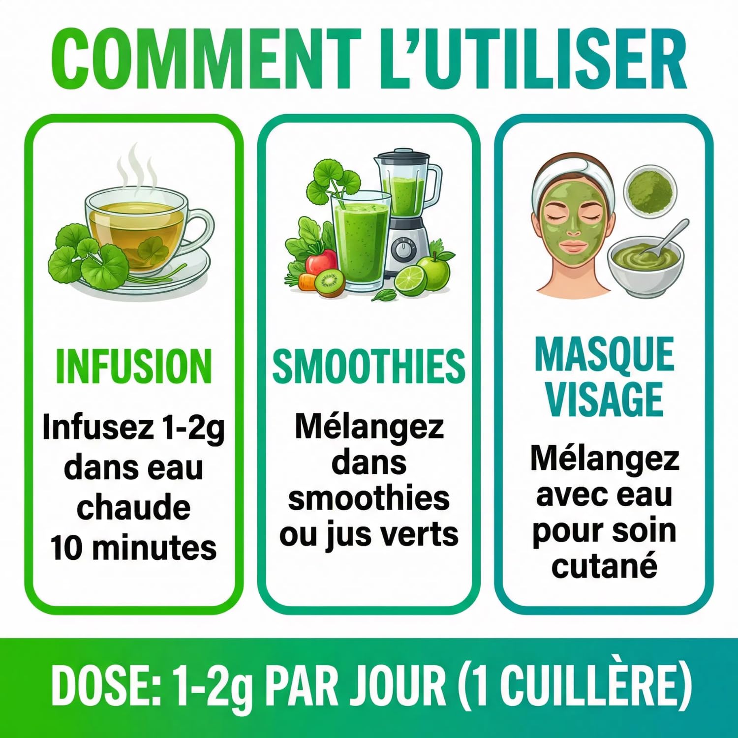 Gotu Kola Poudre Pure (Centella Asiatica) 100g | Booster Cerveau, Mémoire, Concentration | Anti- Âge, Stimule Collagène, Cicatrisant Peau | Circulation Sanguine, Stress | Herbe du Tigre Ayurvédique