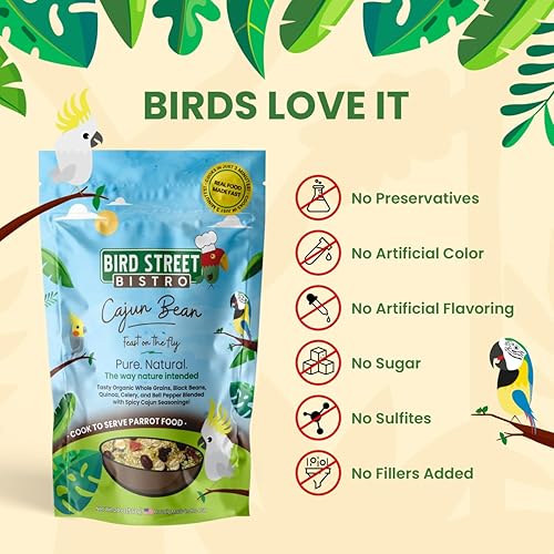 Miniatura 5 de Bird Street Bistro Comida para loros para periquitos y cacatúas, frijol cajún, 20 onzas, cocina en 3-15 minutos, granos naturales y orgánicos,