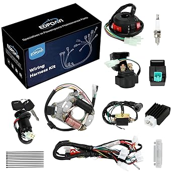 EOPOAYI Complete Wiring Harness Kit Compatible with Tao tao Coolster 125cc Chinese ATV 4 Stroke Quad 4 Wheeler Parts with Starter Solenoid Relay Ignition Coil CDI Box Stator Voltage Regulator