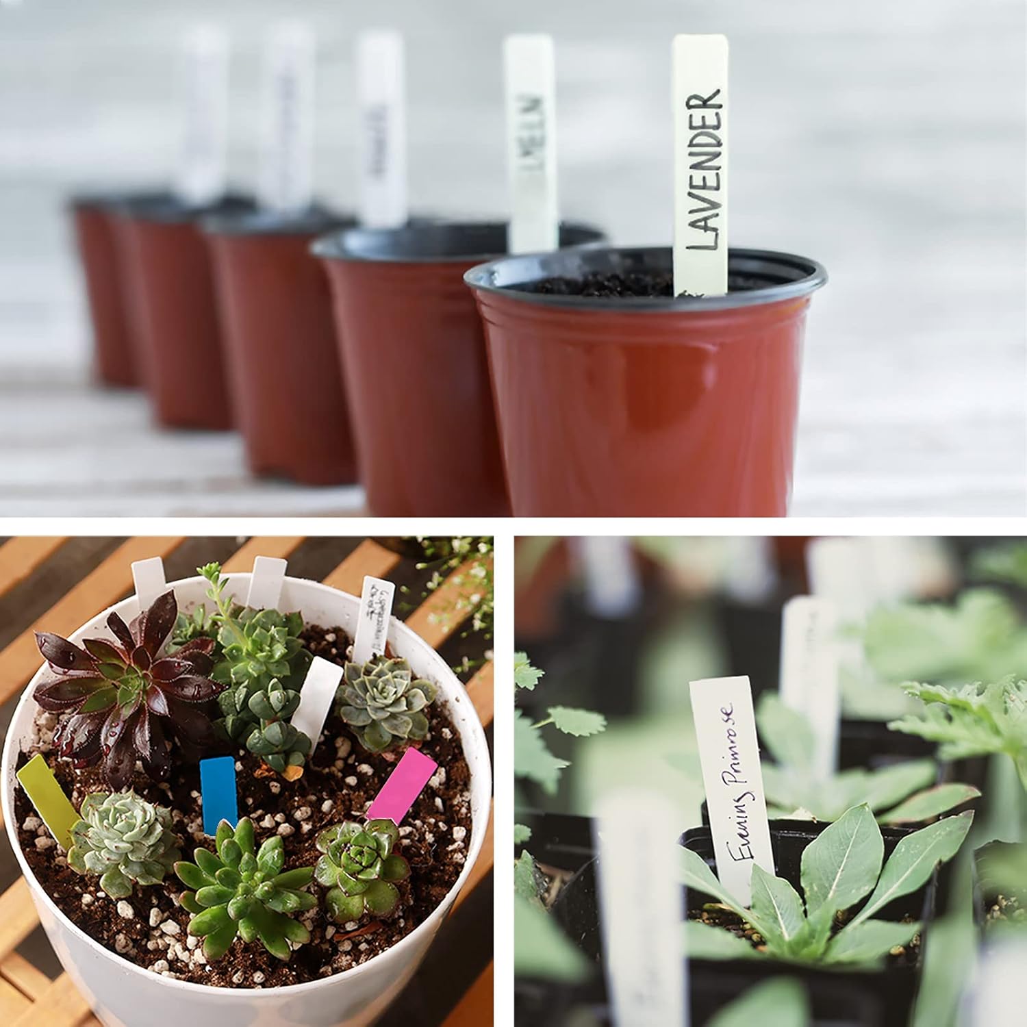 1000 PCS Plastic Plant Labels for Seeding Plant Tags for Outdoor Garden, Waterproof Labels for Pot Garden Stake - Image 6