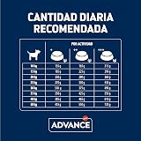 Ver la foto 6