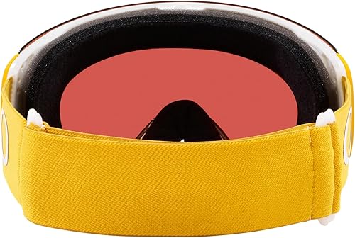 Miniatura 4 de Oakley Flight Deck M Snow Goggle