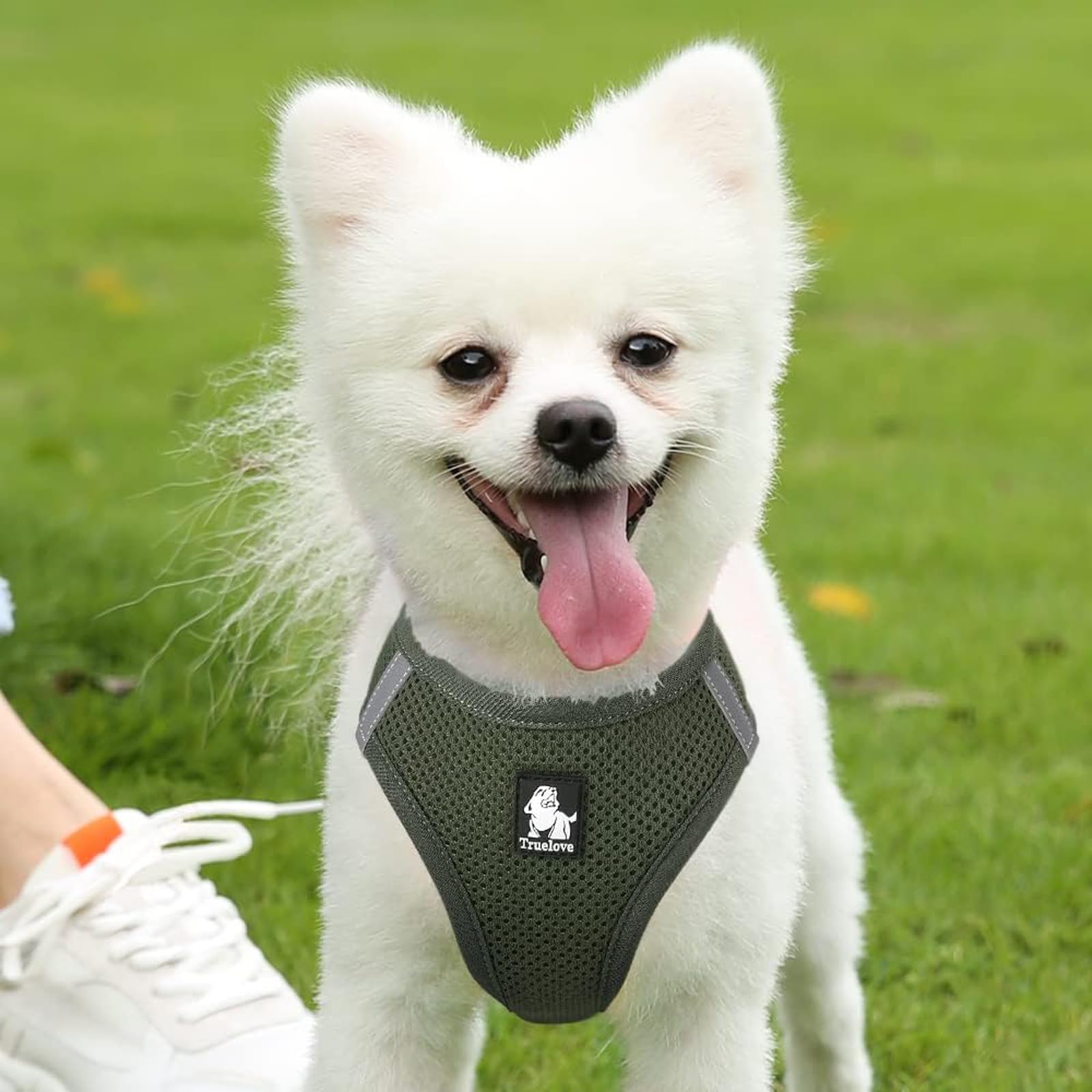 TRUE LOVE Harnais pour Chien Soft Air Mesh Gilet réfléchissant réglable pour Animaux de Compagnie pour Petites et Moyennes Races (M, Vert)