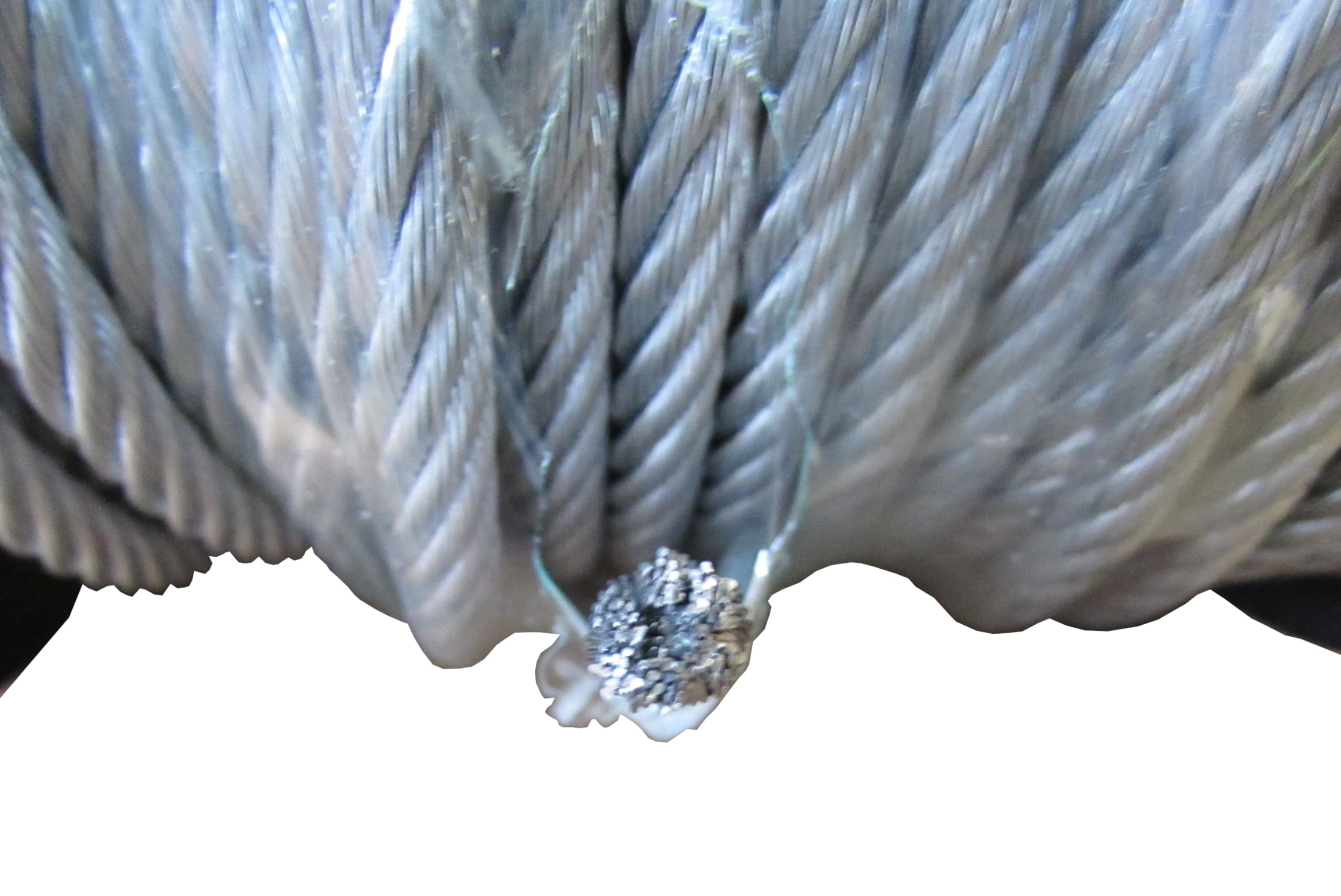 Amazon.com: Pinnon Hatch Farms/Jones Sports Steel Aircraft Cable