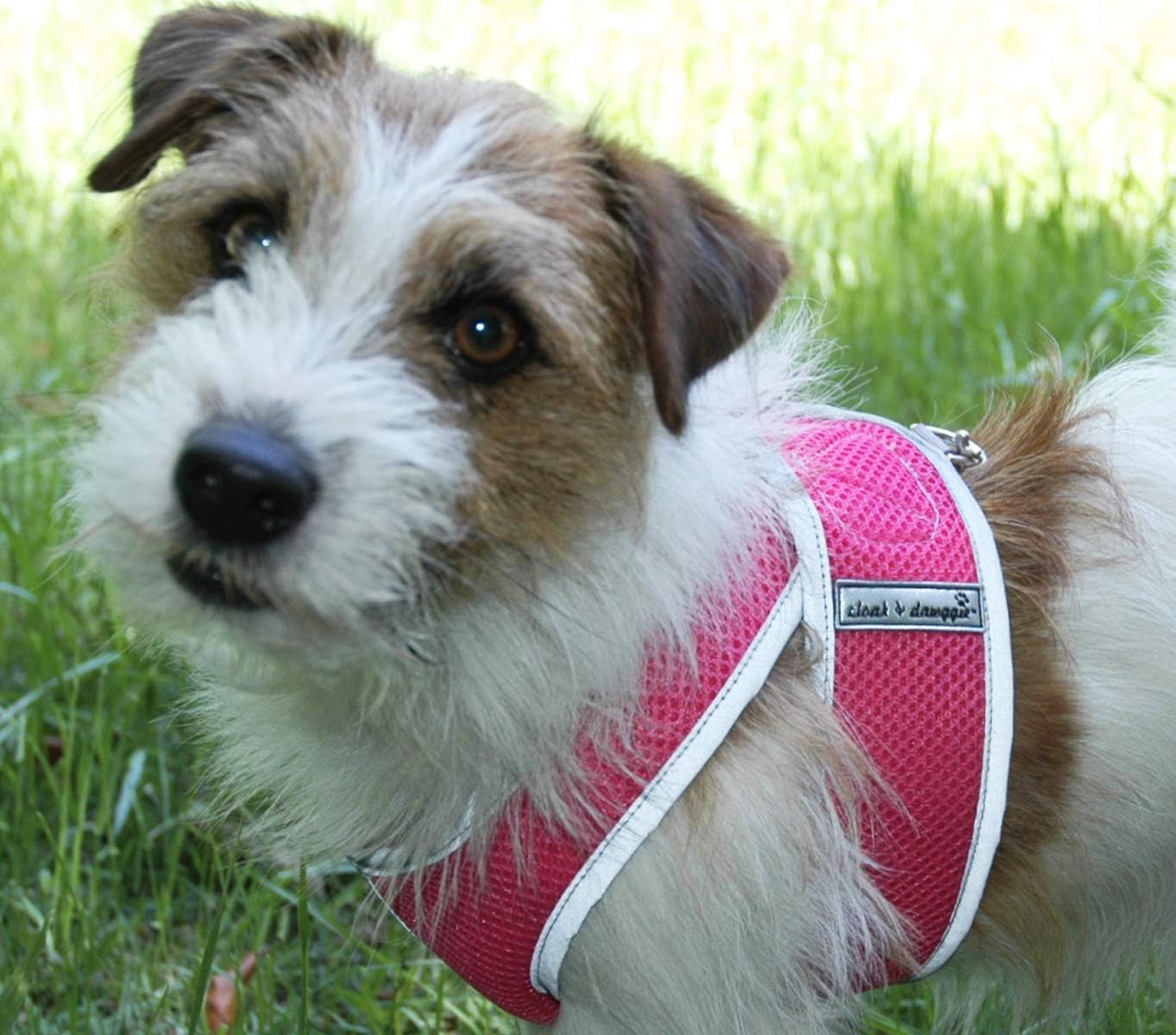 Cloak & Dawggie Mesh Step-N-Go Small Dog Harness Step in Teacup to 25 LBS. Vest Easy On Adjustable. XXXS XSmall Toy Puppies to Medium. Reflective Soft Walking Doggy Wrap Vest (7200)(XSmall, Pink)