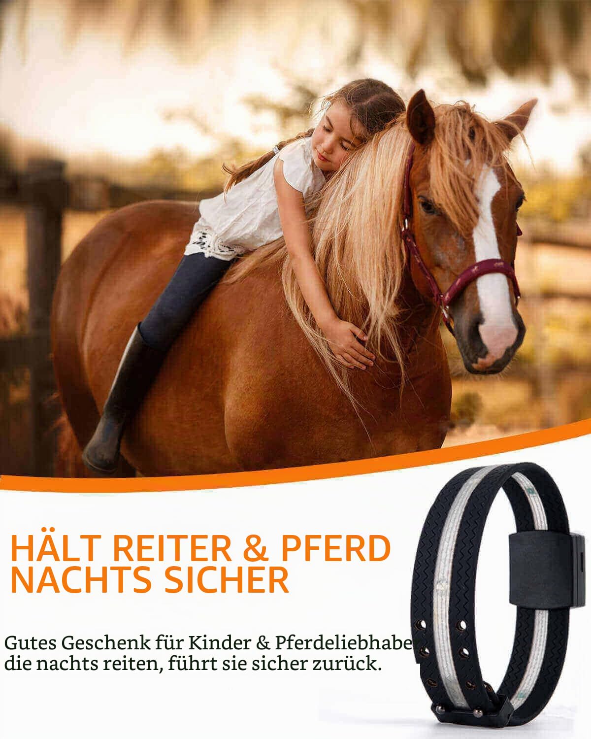 Reiter 2024 V.1 LED-Pferde-Zaumzeug, Mehrfarbig, M